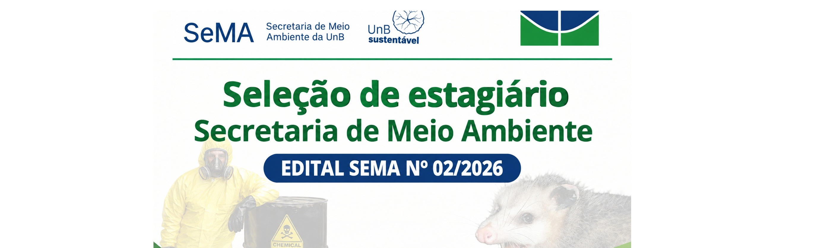 Seleção de Estagiário